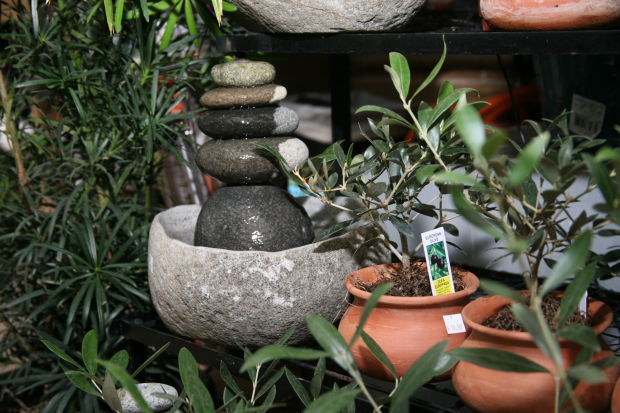 Garden Heights_03.JPG